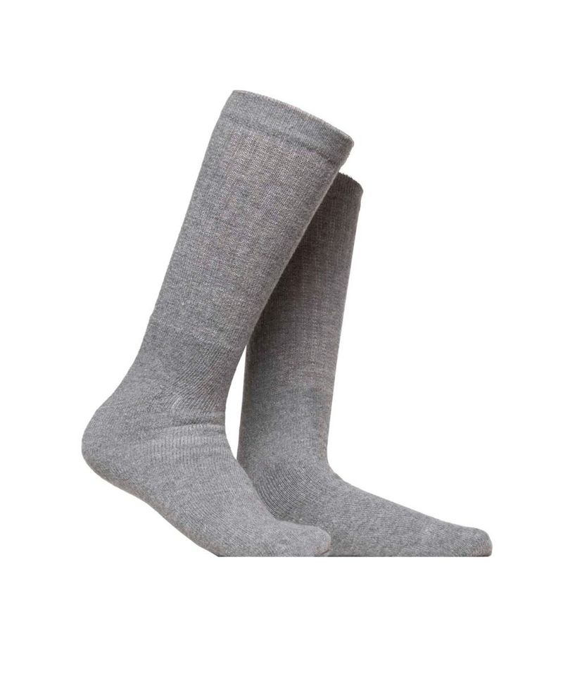 2050-GRIS