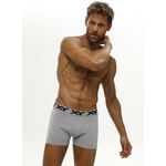 1387-gris-melange