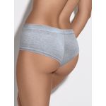 Art-1200-gris